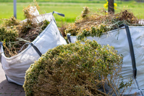 Best Recycling Services for Junk  in Parkersburg, WV